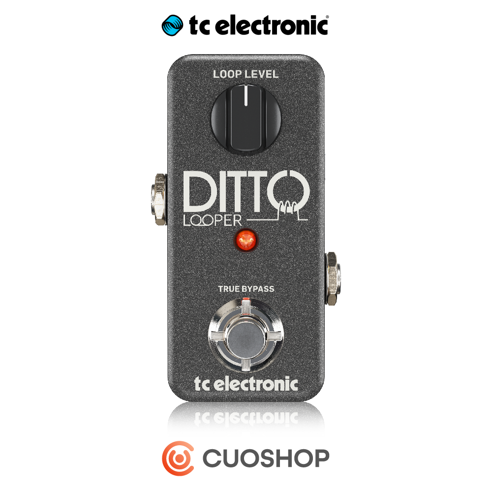 TC Electronic DITTO Looper 디토 루퍼  티씨일렉트로닉 기타 이펙터 페달