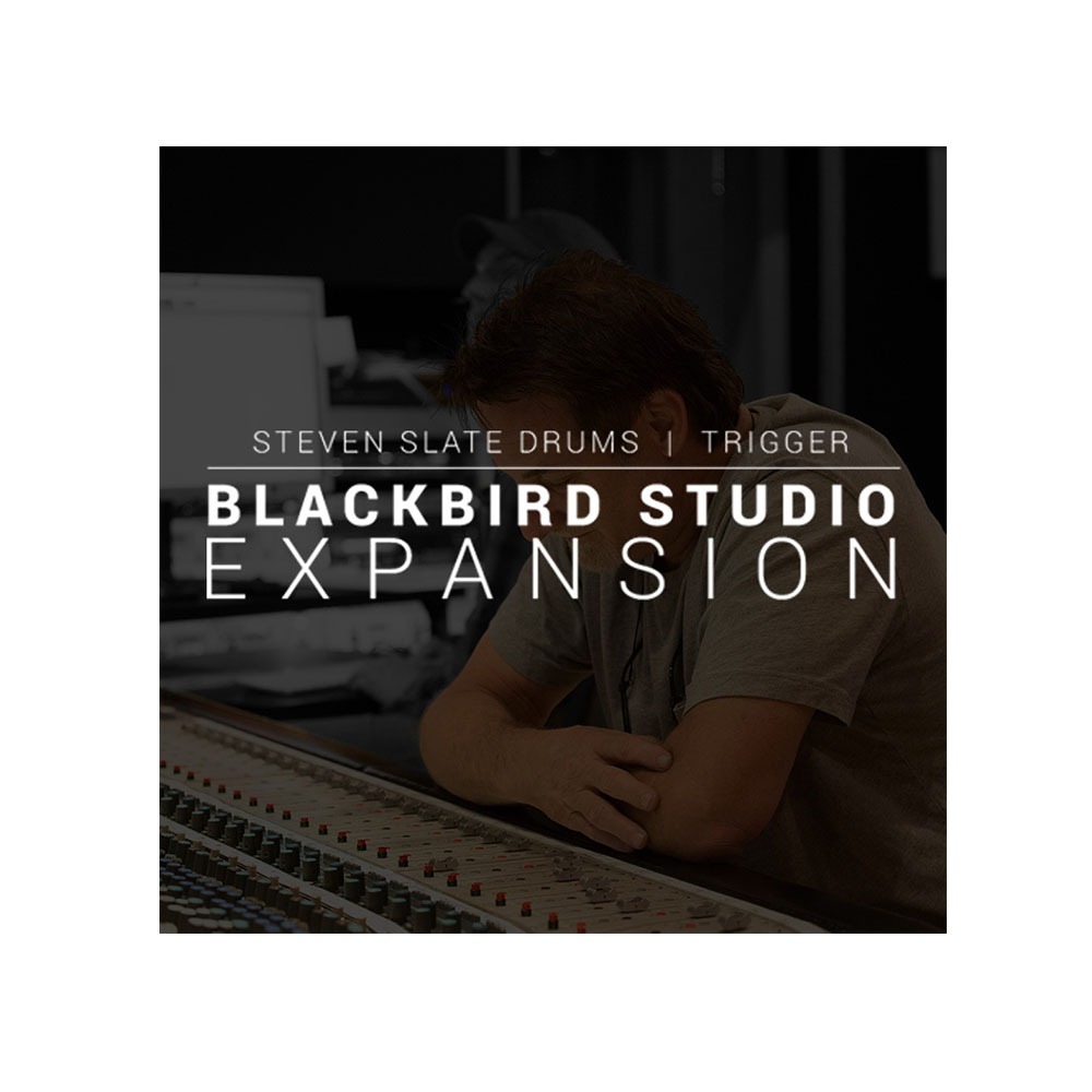 STEVEN SLATE SSD Blackbird expansion SSD 전용 샘플 사운드 전자배송