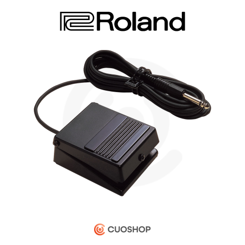 ROLAND 롤랜드 (BOSS) DP-2 (로랜드  서스테인페달) DP2
